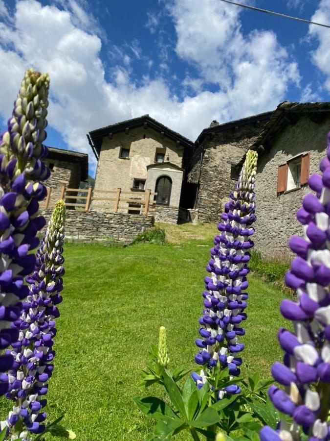 Albergo Casa Alpina San Luigi Campodolcino Exterior photo